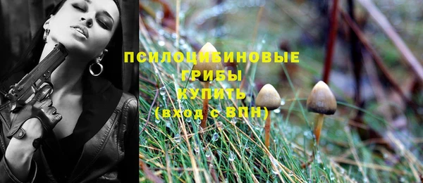 прущая мука Покачи