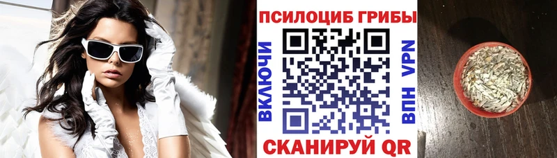 Псилоцибиновые грибы прущие грибы  купить   Снежногорск 